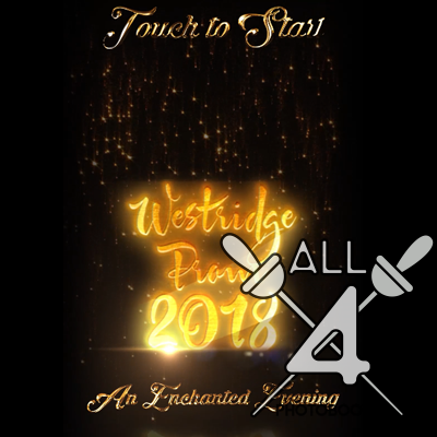 animation, westridge