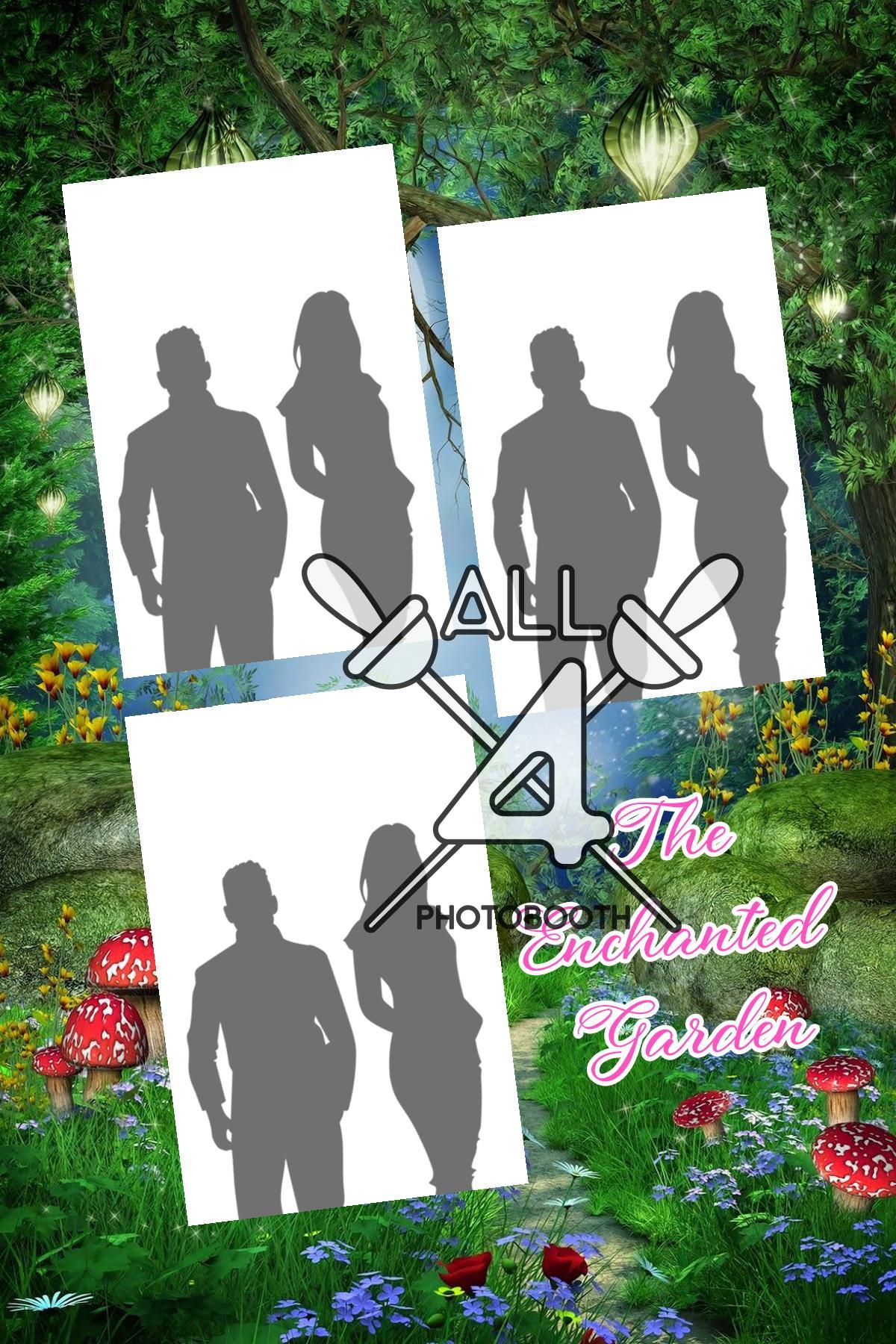 Enchanted - ALL450038 - Image 11