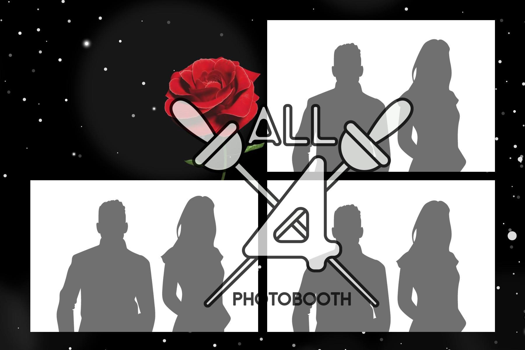 Roses- ALL450274 - Image 7