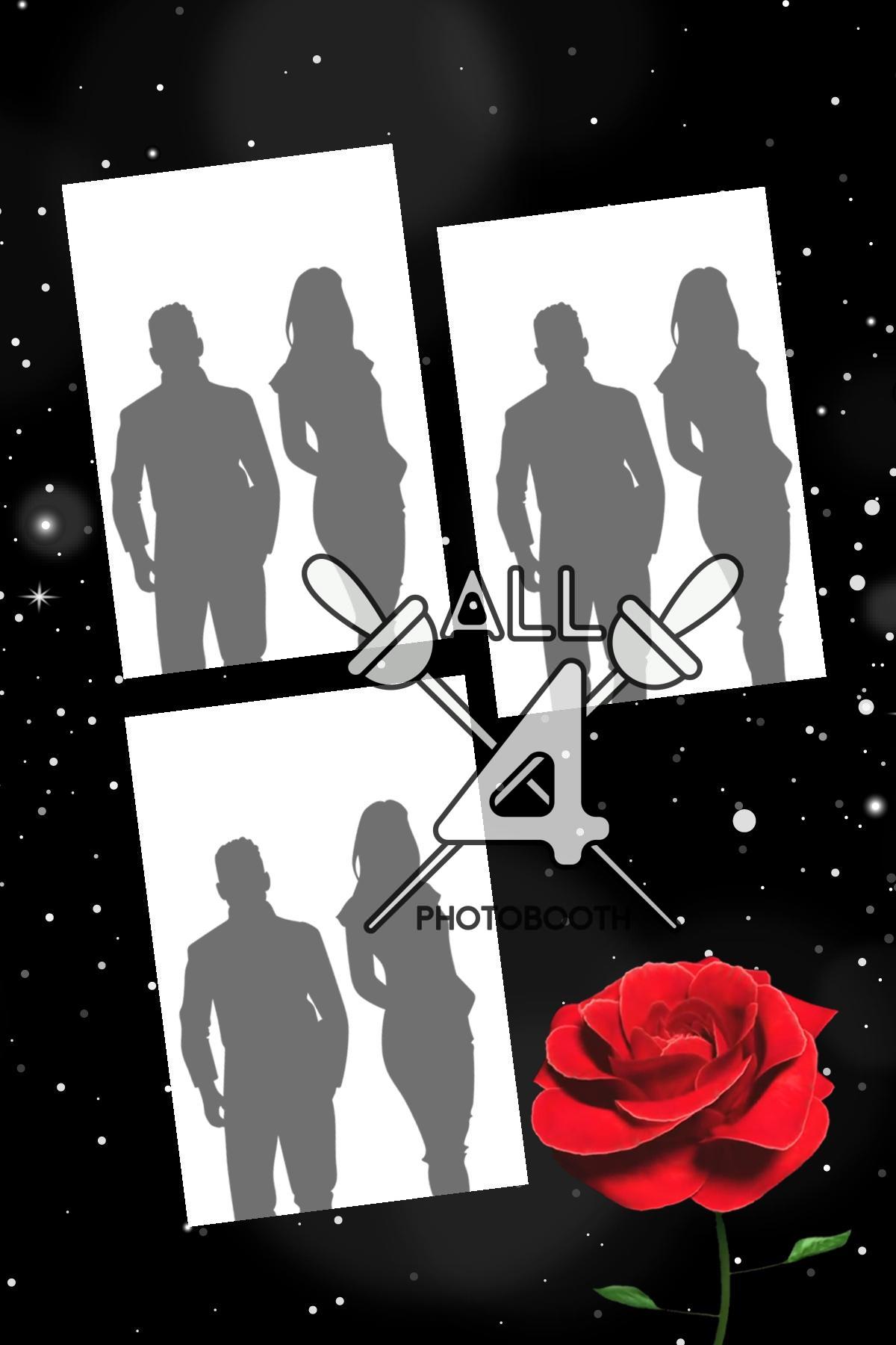 Roses- ALL450274 - Image 5