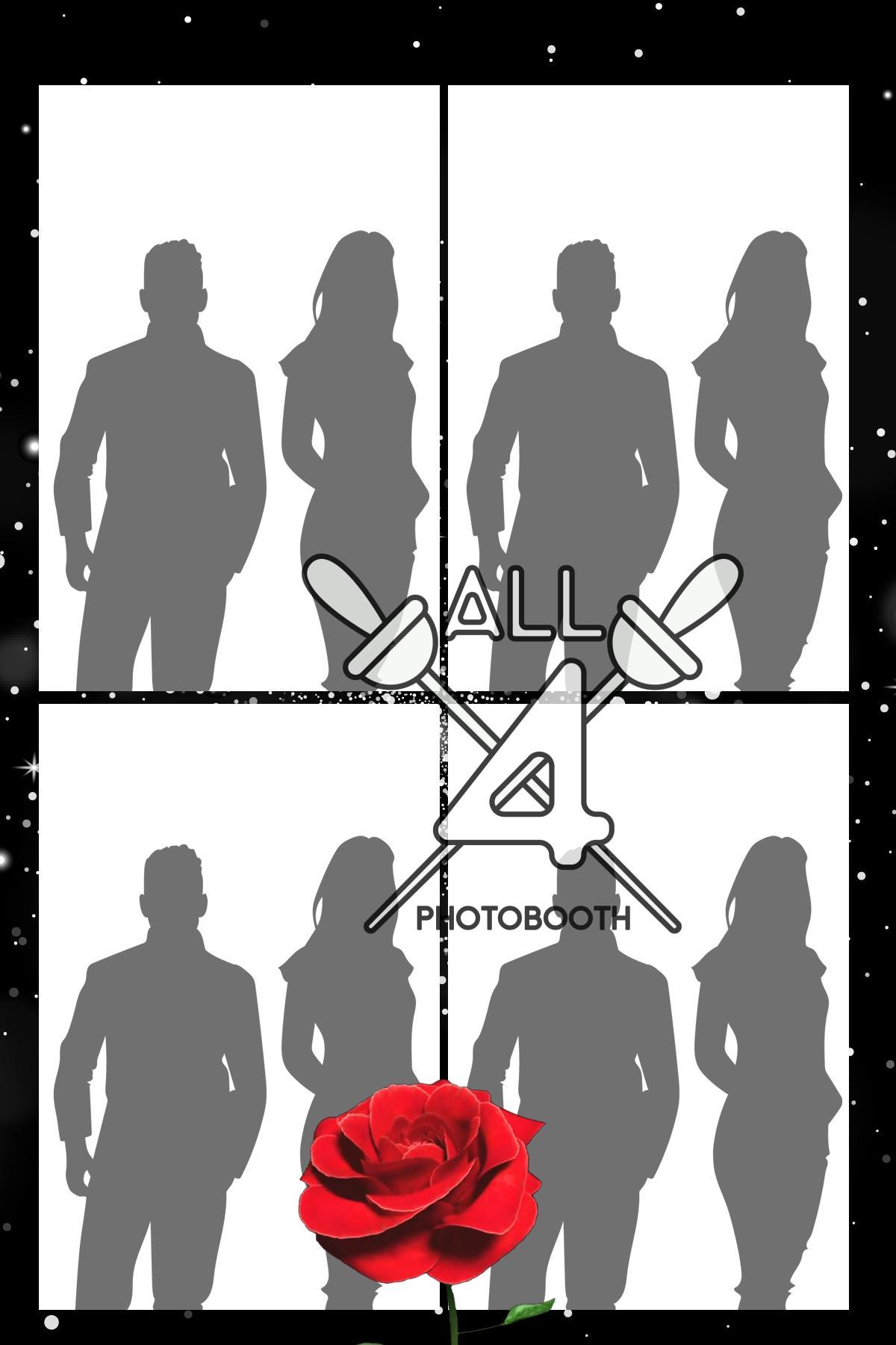 Roses- ALL450274 - Image 4