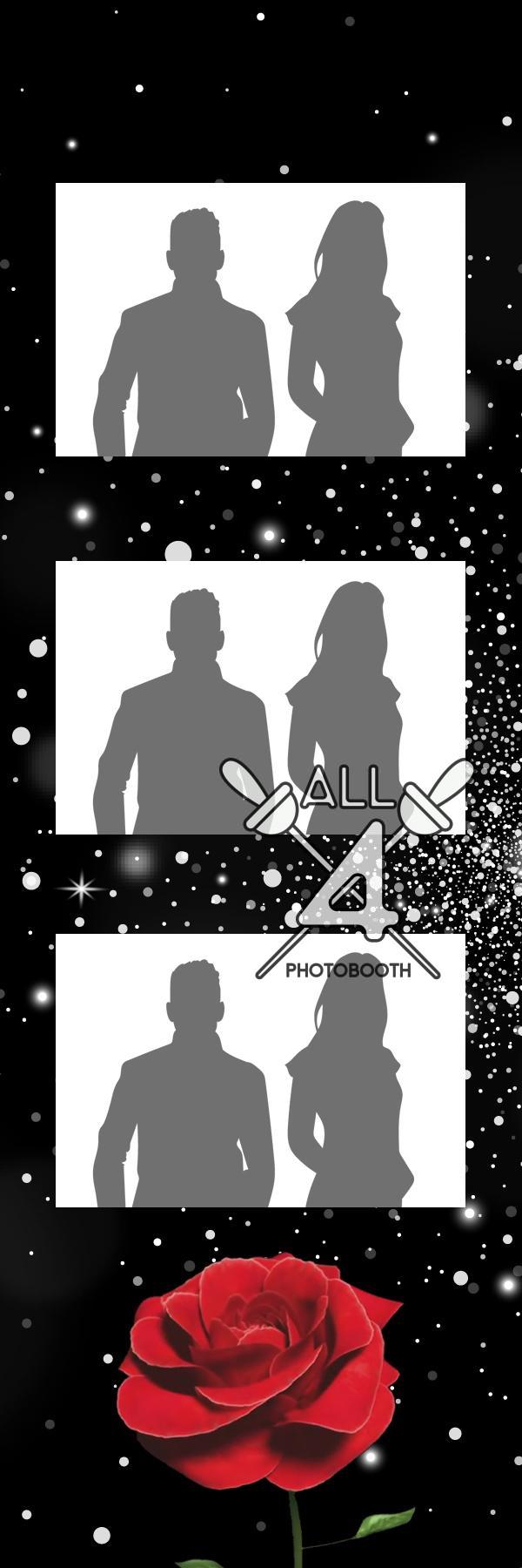 Roses- ALL450274 - Image 3